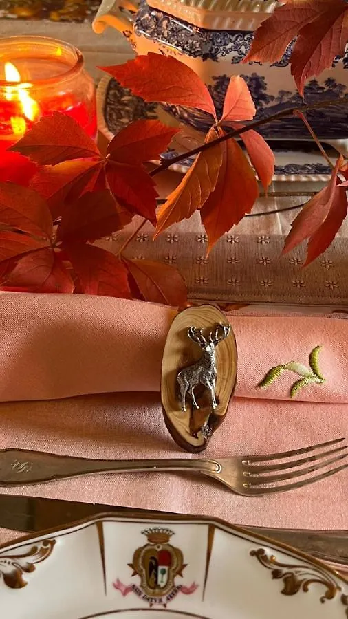 فندق مبيت وإفطار بولونيا Castiglione 27 Luxury Suite